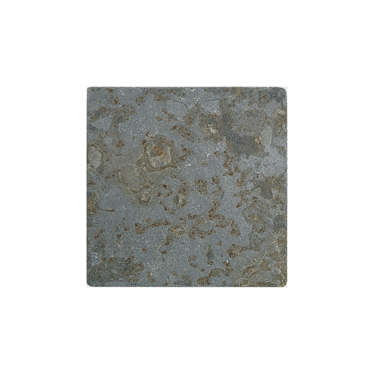 4" x 4" Tile Multicolor Autumn Tumbled