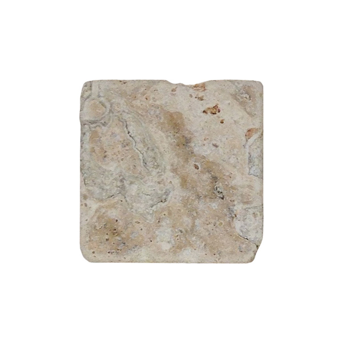 4" x 4" Tile Rosa Scabas Tumbled