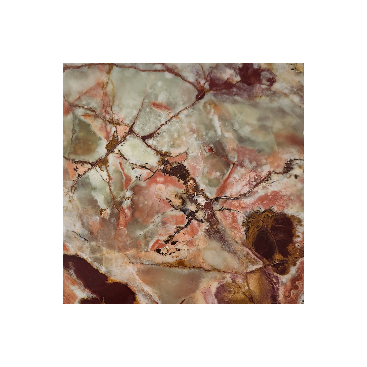 6" x 6" Tile Green Pistachio Multicolor Polished
