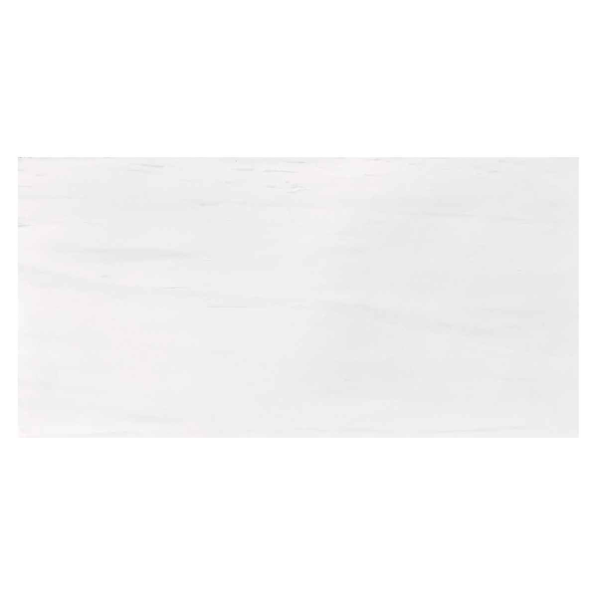 12" x 24" Tile White Elegant Select Honed