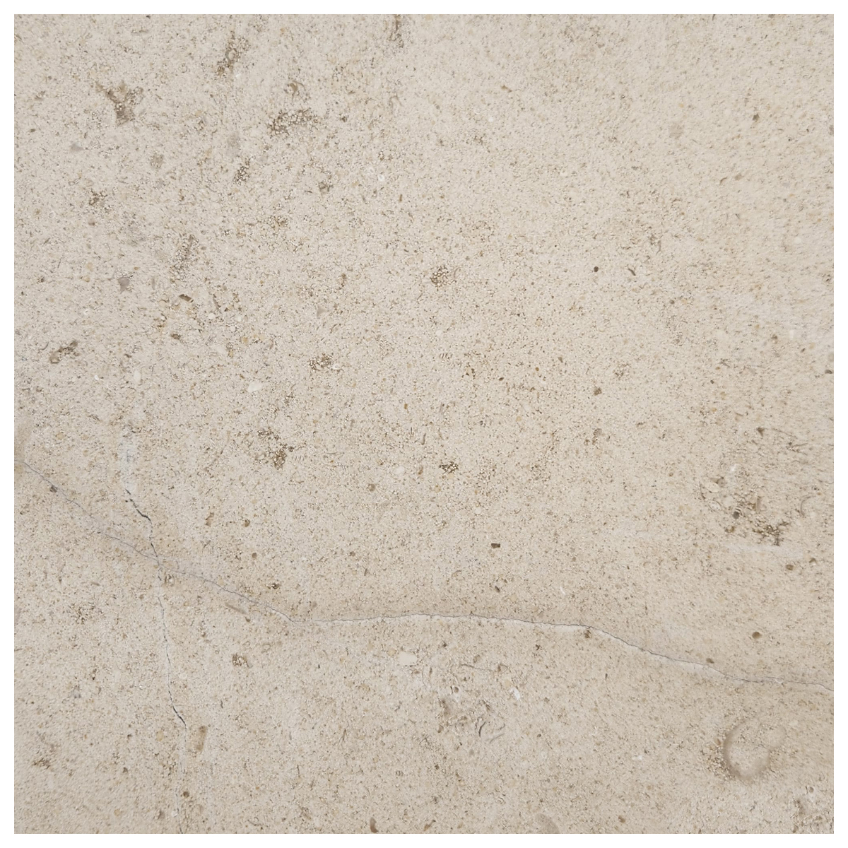 16" x 16" Tiles Beauharnaise Honed