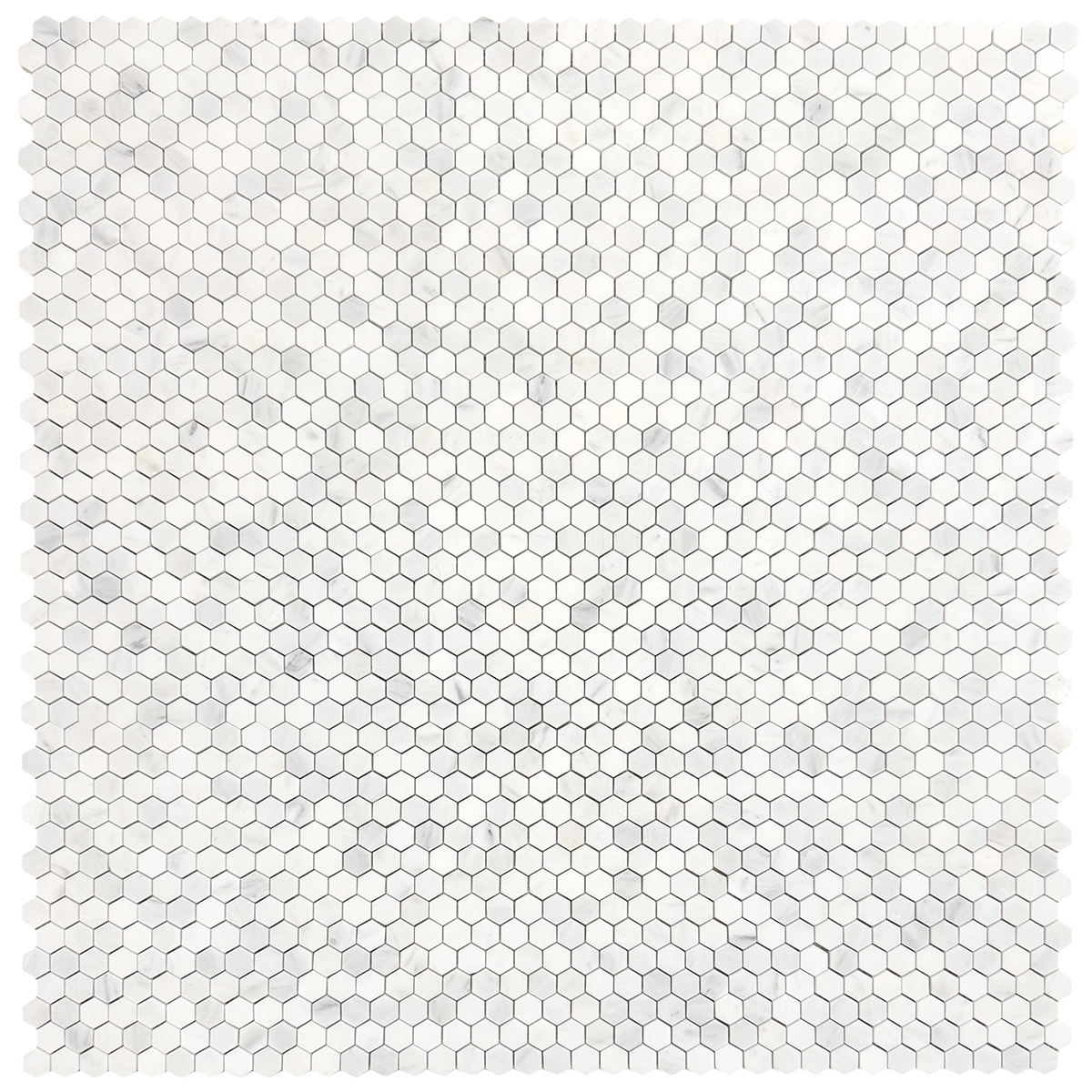 Hexagon 1" White Statuary Calacatta Honed - Image 3