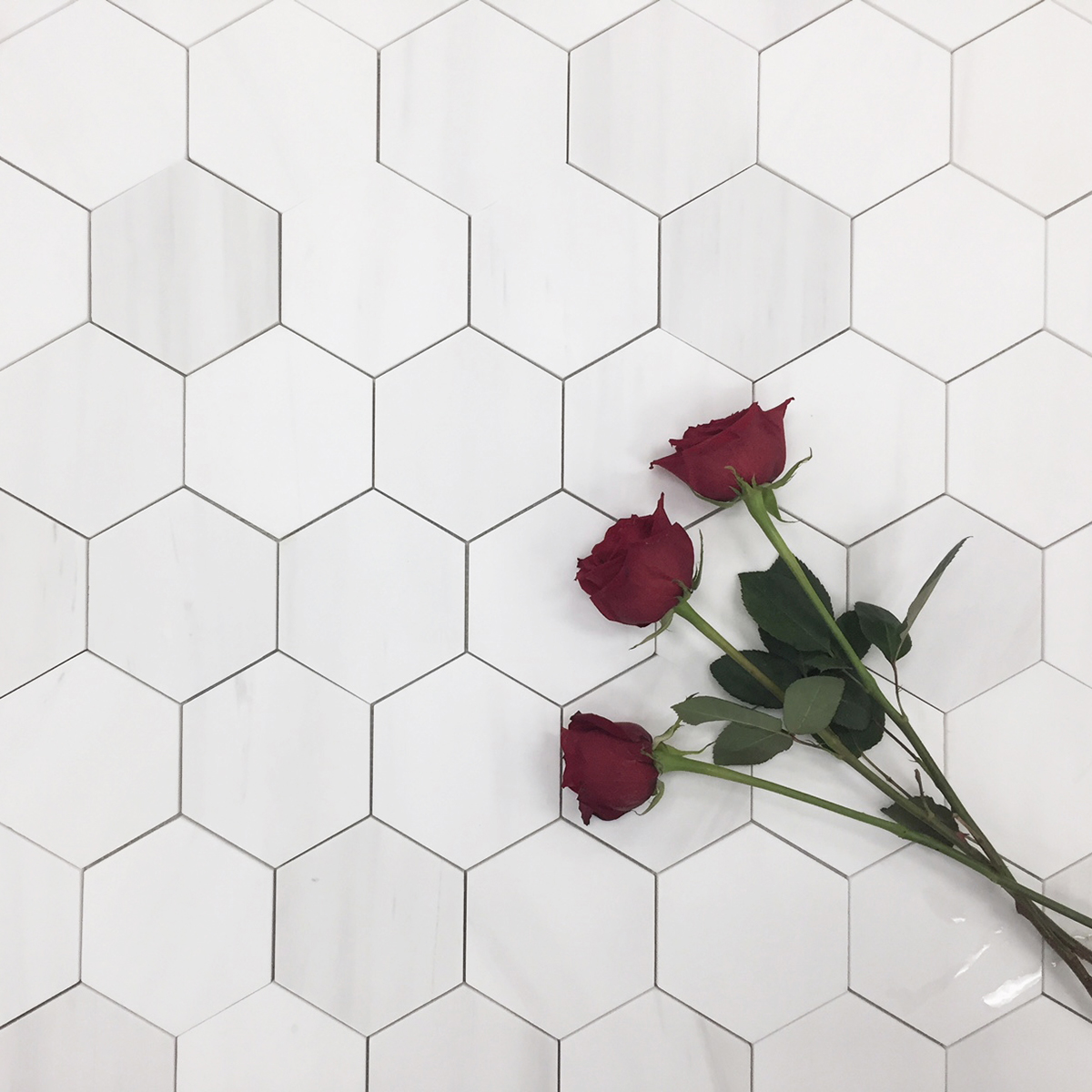 Hexagon 5" White Elegant Select Honed - Image 2