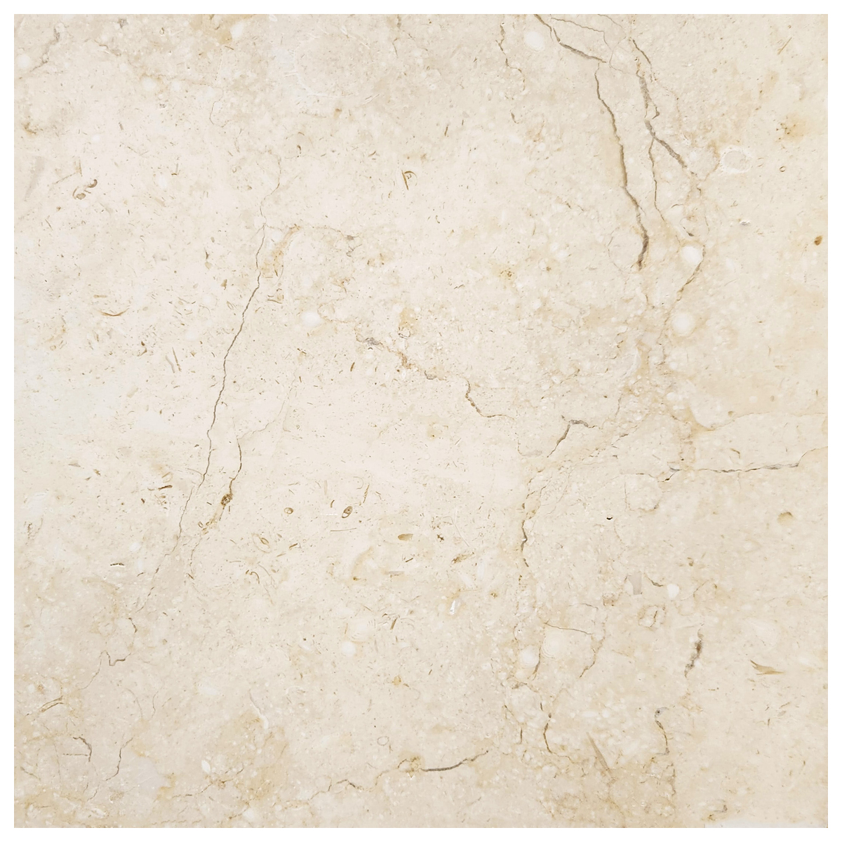 16" x 16" Tiles Crema Orro Honed