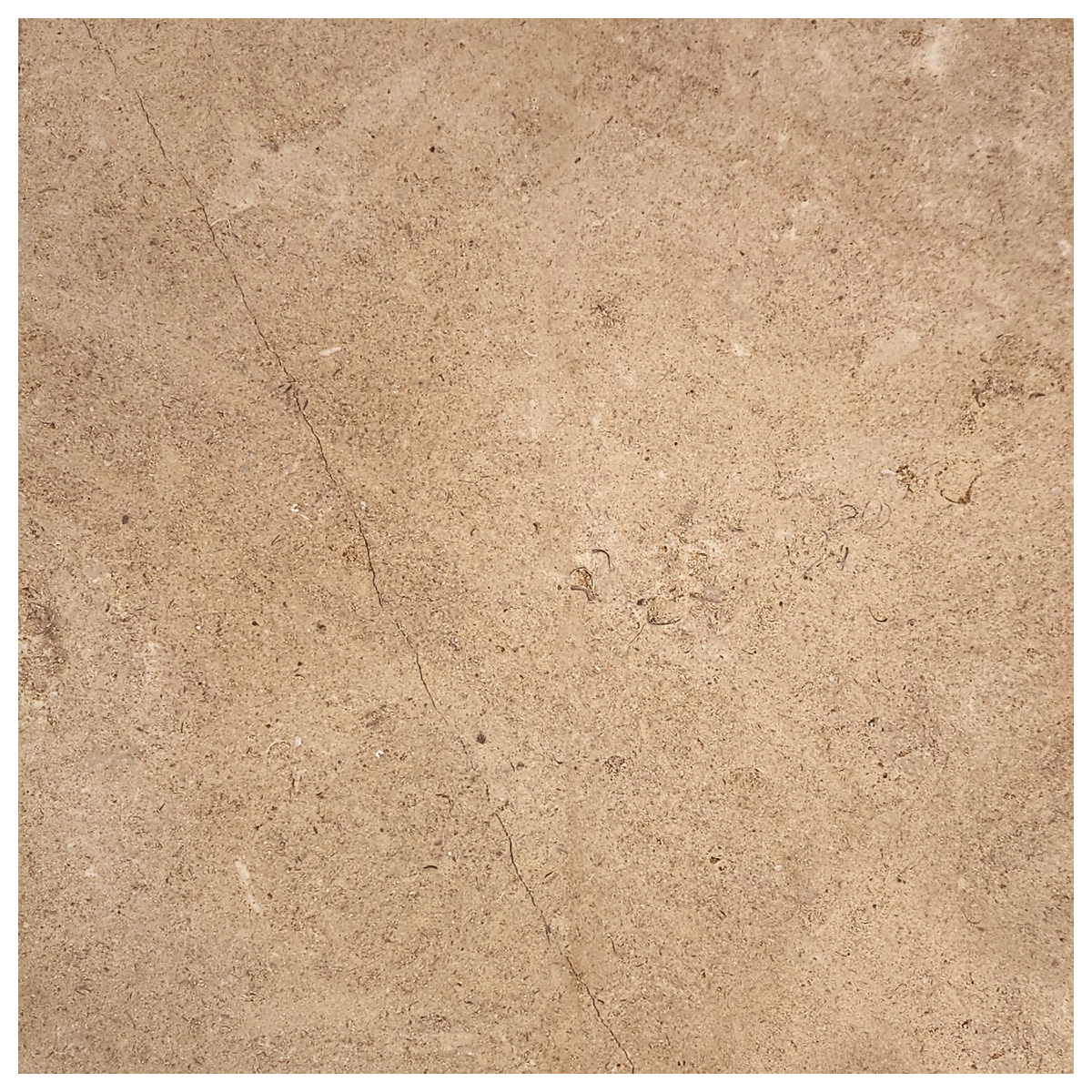 16" x 16" Tiles St. Marc Jaune (Fontenay Jaune) Honed