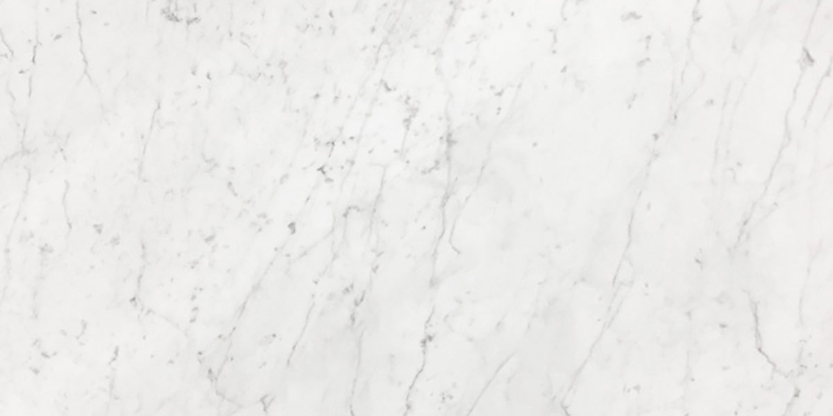 18" x 36" Tile White Carrara Premium Honed