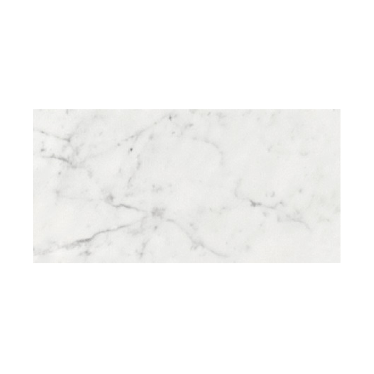 6" x 12" Tile White Carrara Premium Honed