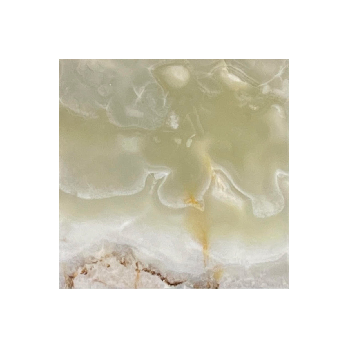 6" x 6" Tile Green Persian Pistachio Polished