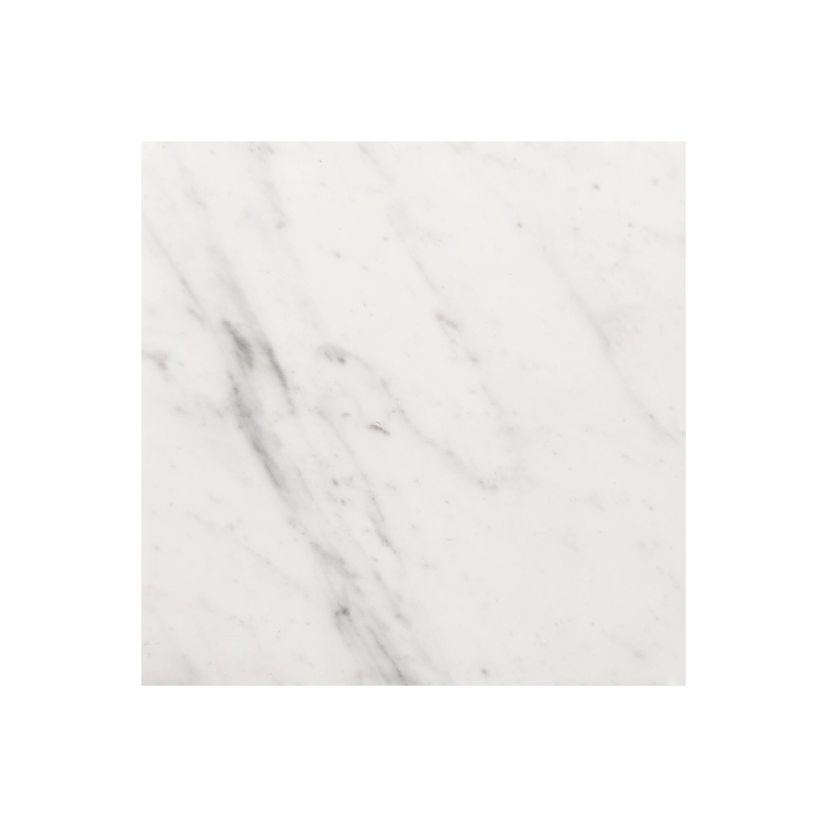 6" x 6" Tile White Carrara Premium Honed
