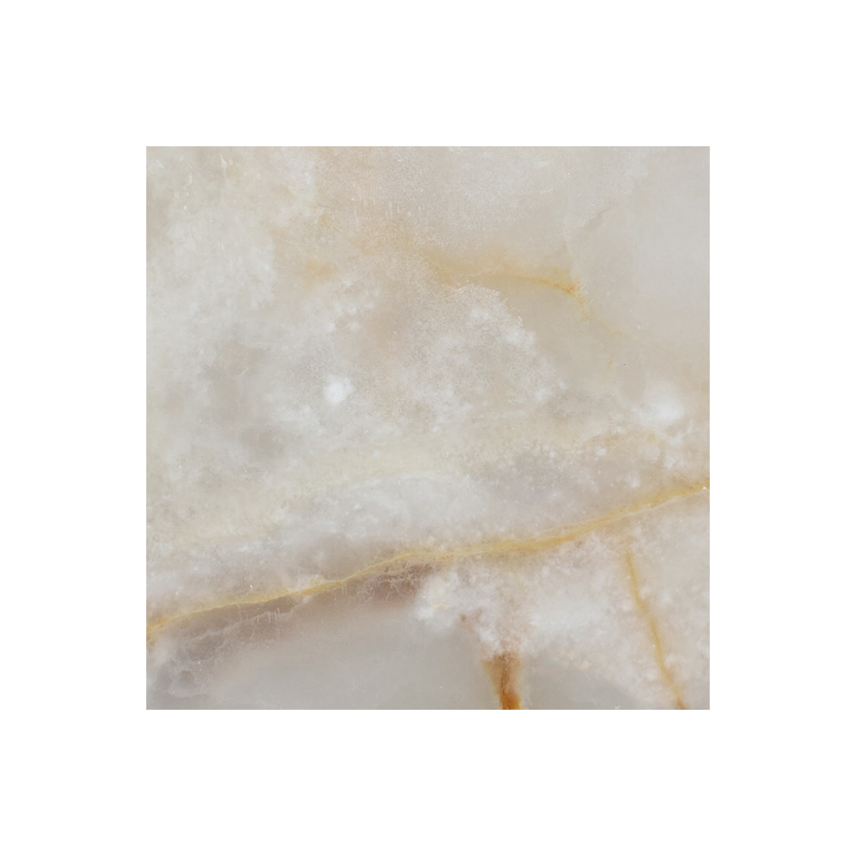6" x 6" Tile White Persian Vanilla Gold Honed